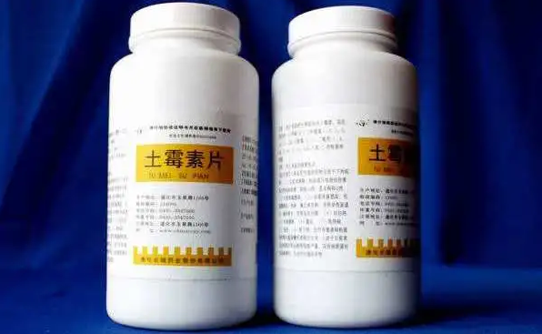 2ec359f3c27e6871801d88839e65c61b